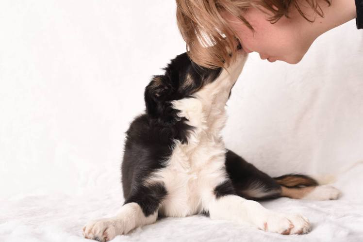 Lark &amp; Eve Week 12