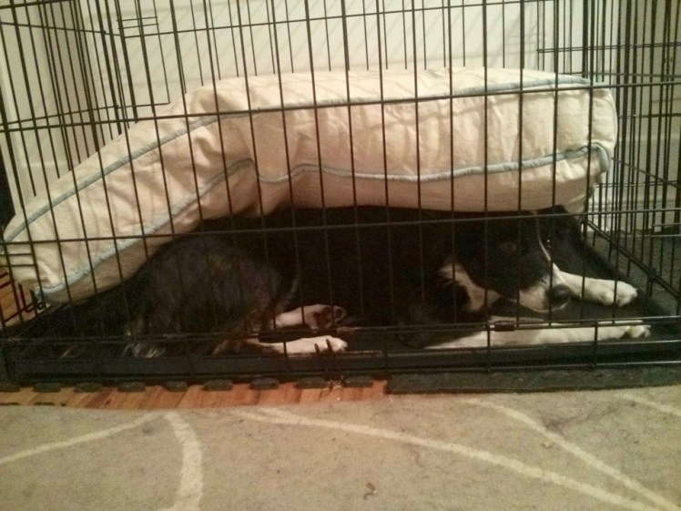 Hele_clown_5months (1)