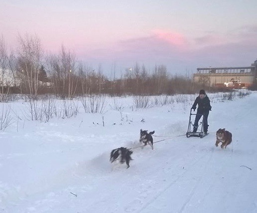 hele-mushing-1