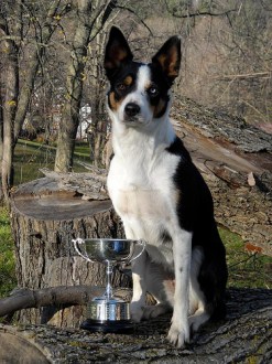 Hannah OBCC Champion